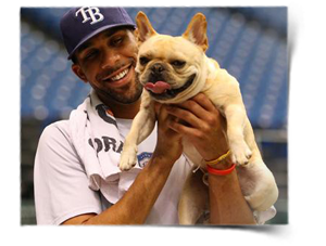 The Doghouse Goes To The Tampa Bay Ray’s Dugout
