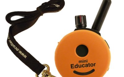 Electric Collar Troubleshooting
