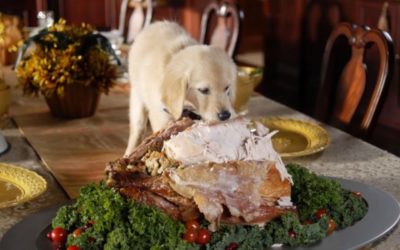 Reserve Your Boarding Spot Early for The Holidays