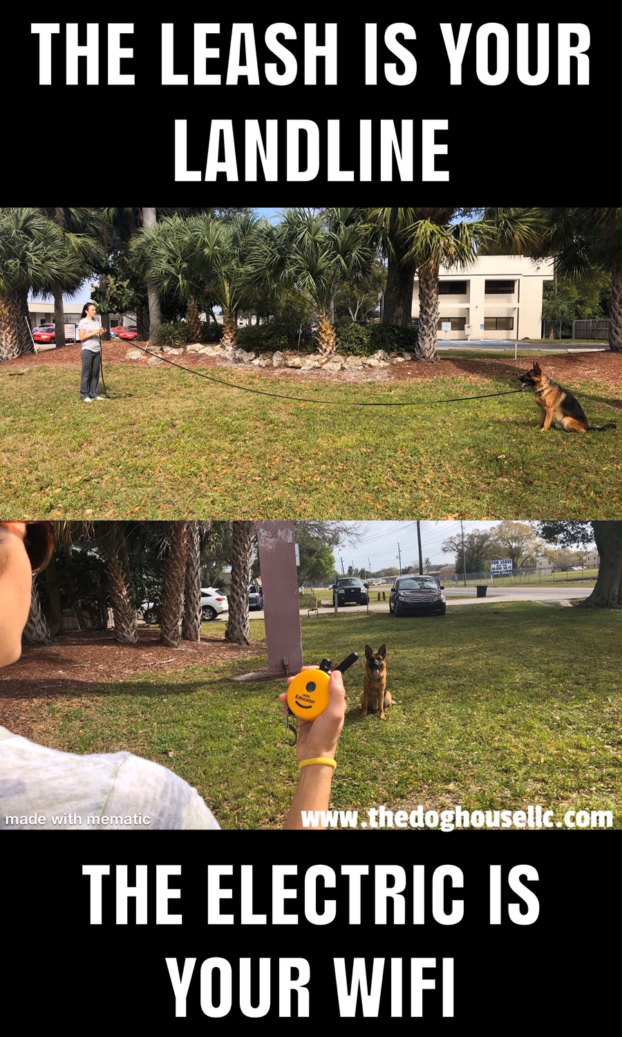 5 Uses For An Electric Collar In Pet Training The Dog House