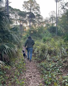 Dog hiking using training tools. 