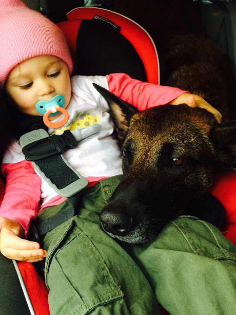 A Life With Dogs For Your Baby