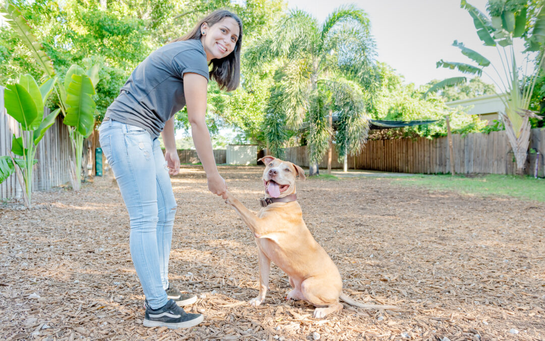Dog Trainers Working With Expecting Families