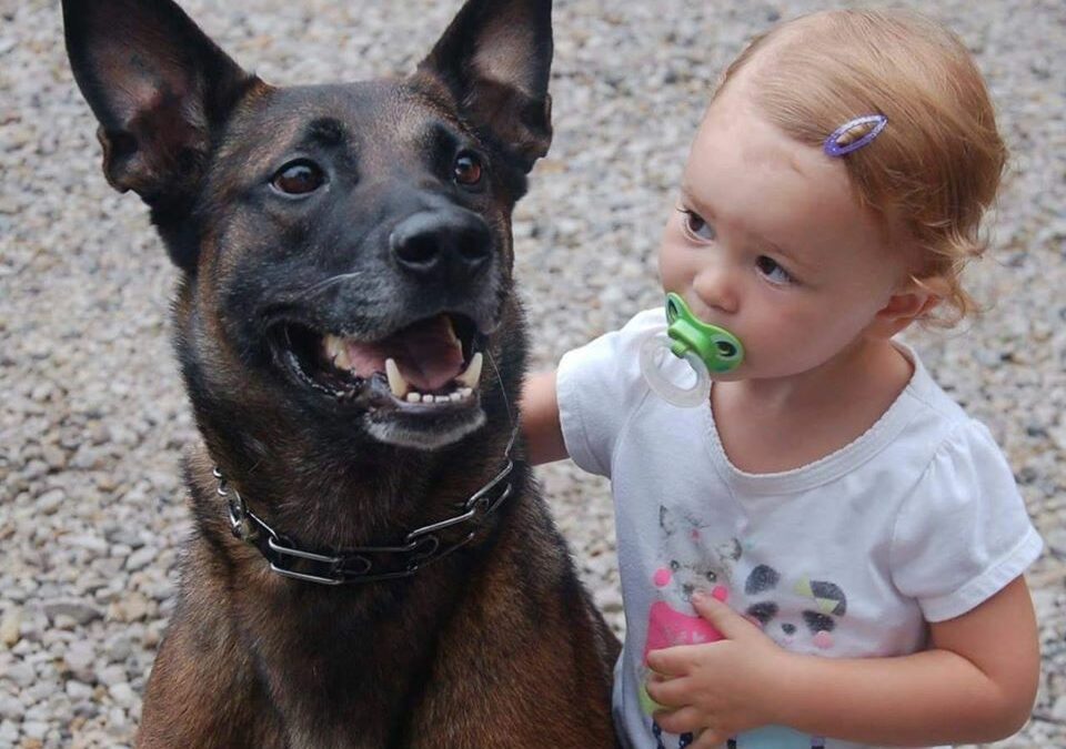 Stop Letting Your Kids Pet Stranger’s Dogs!