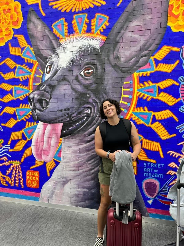 Street Dogs | Helping or Hindering? | Mexico City - The Dog House