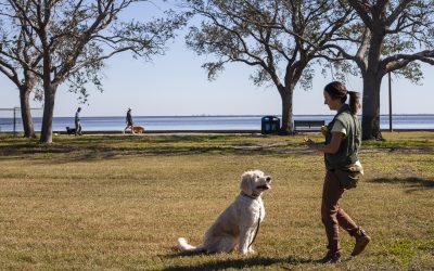 Spring Break is the Perfect Time to Train your Dog