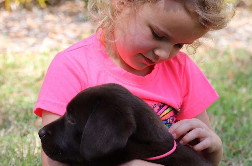 Why Is My Puppy Biting? How First-Time Dog Owners Can Stop Nipping Fast