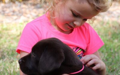 Why Is My Puppy Biting? How First-Time Dog Owners Can Stop Nipping Fast