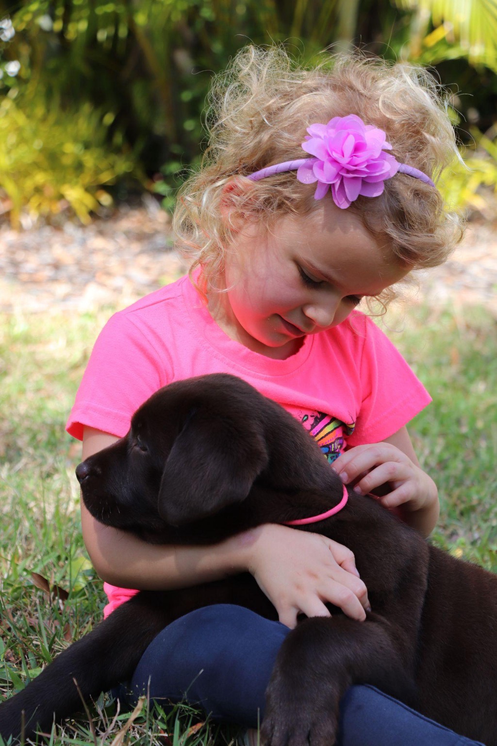 Picture of Why Is My Puppy Biting? How First-Time Dog Owners Can Stop Nipping Fast ...