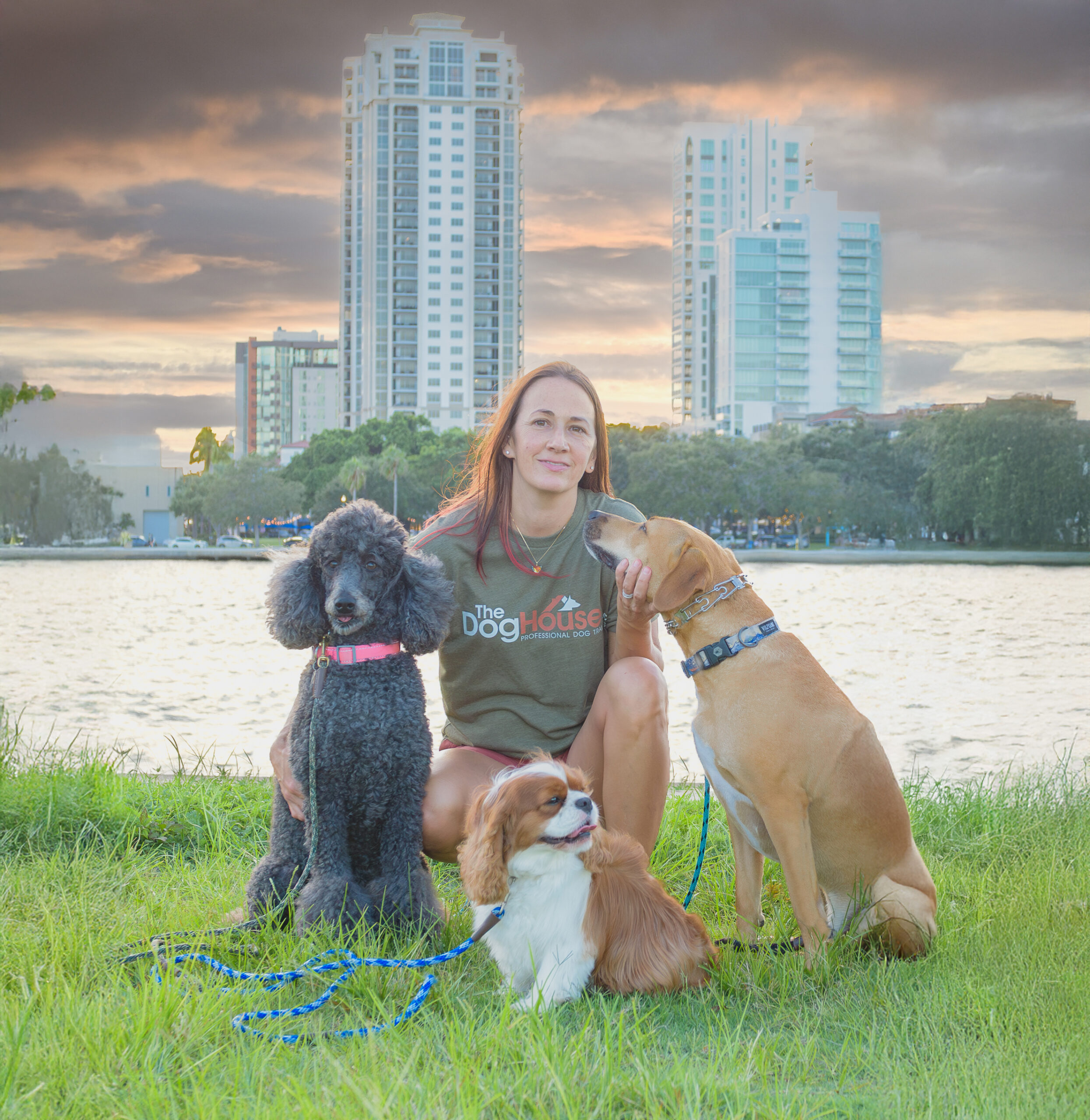 Dog Training & Boarding Pinellas FL