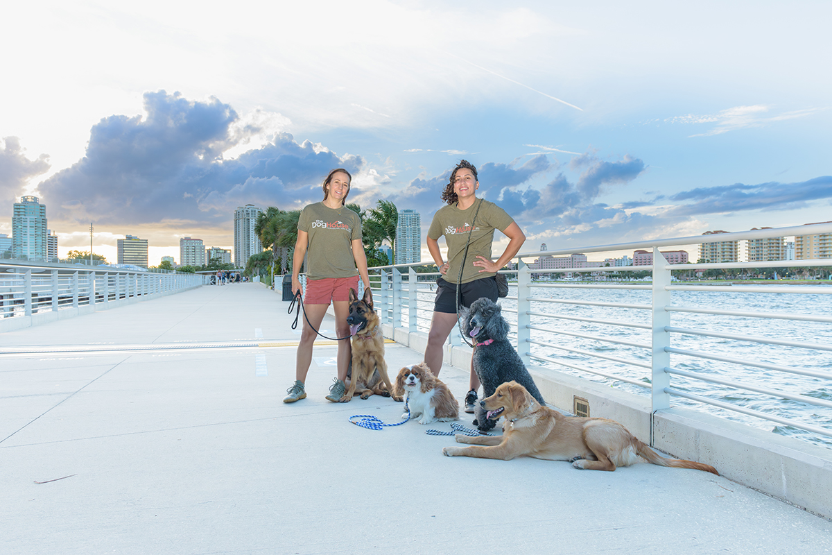 Prepare Your Dog for Boarding