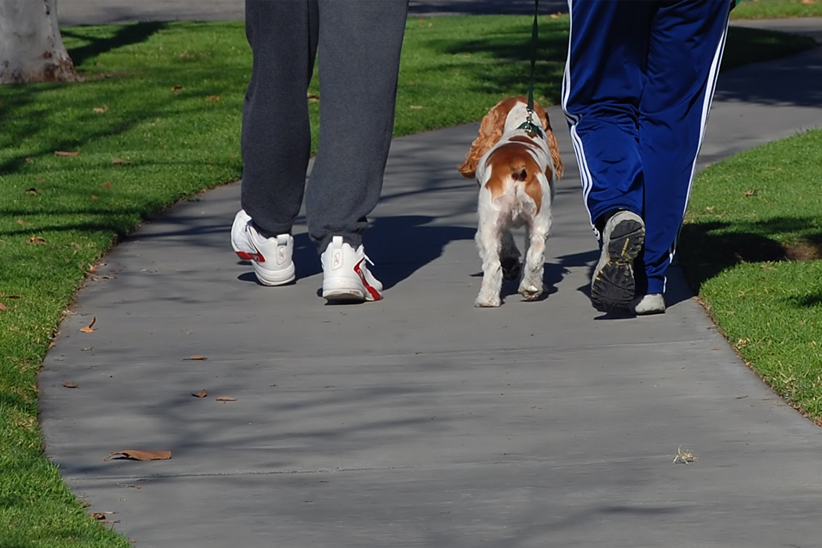 Early Handling Exercises