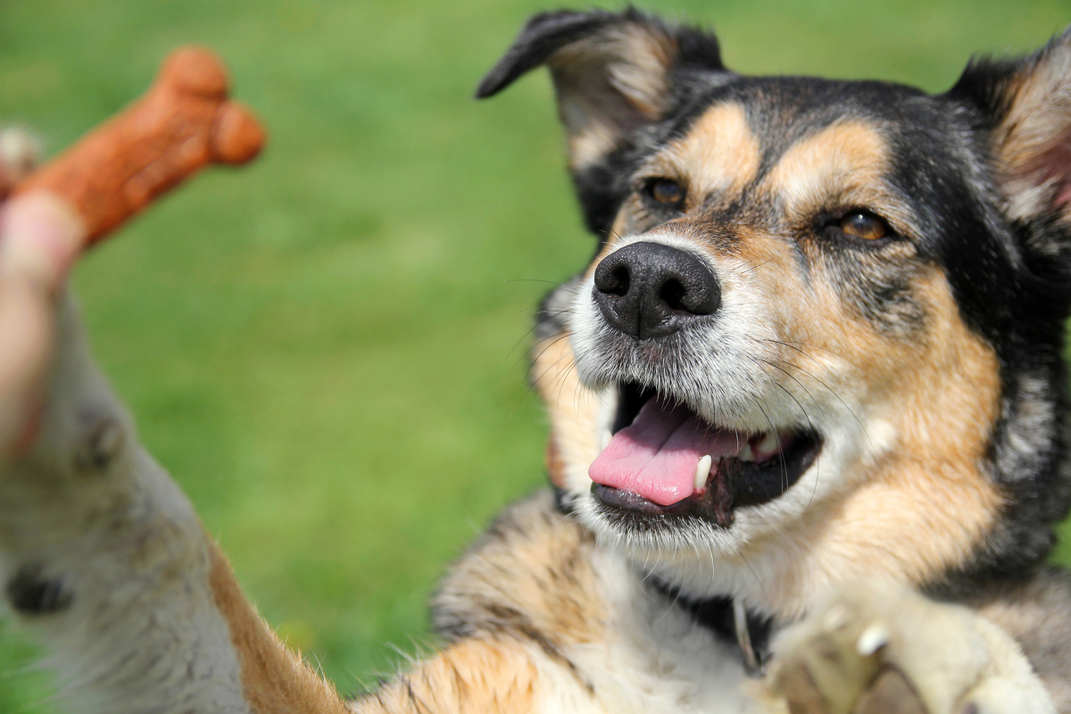 Body Language in Effective Training