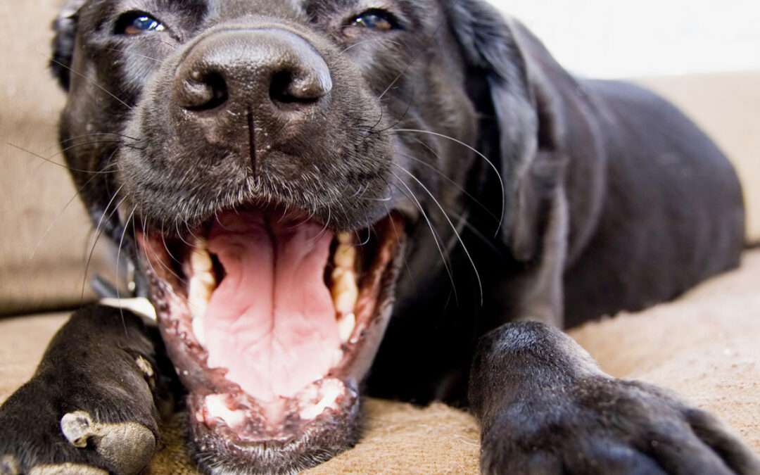 Avoiding Overtraining