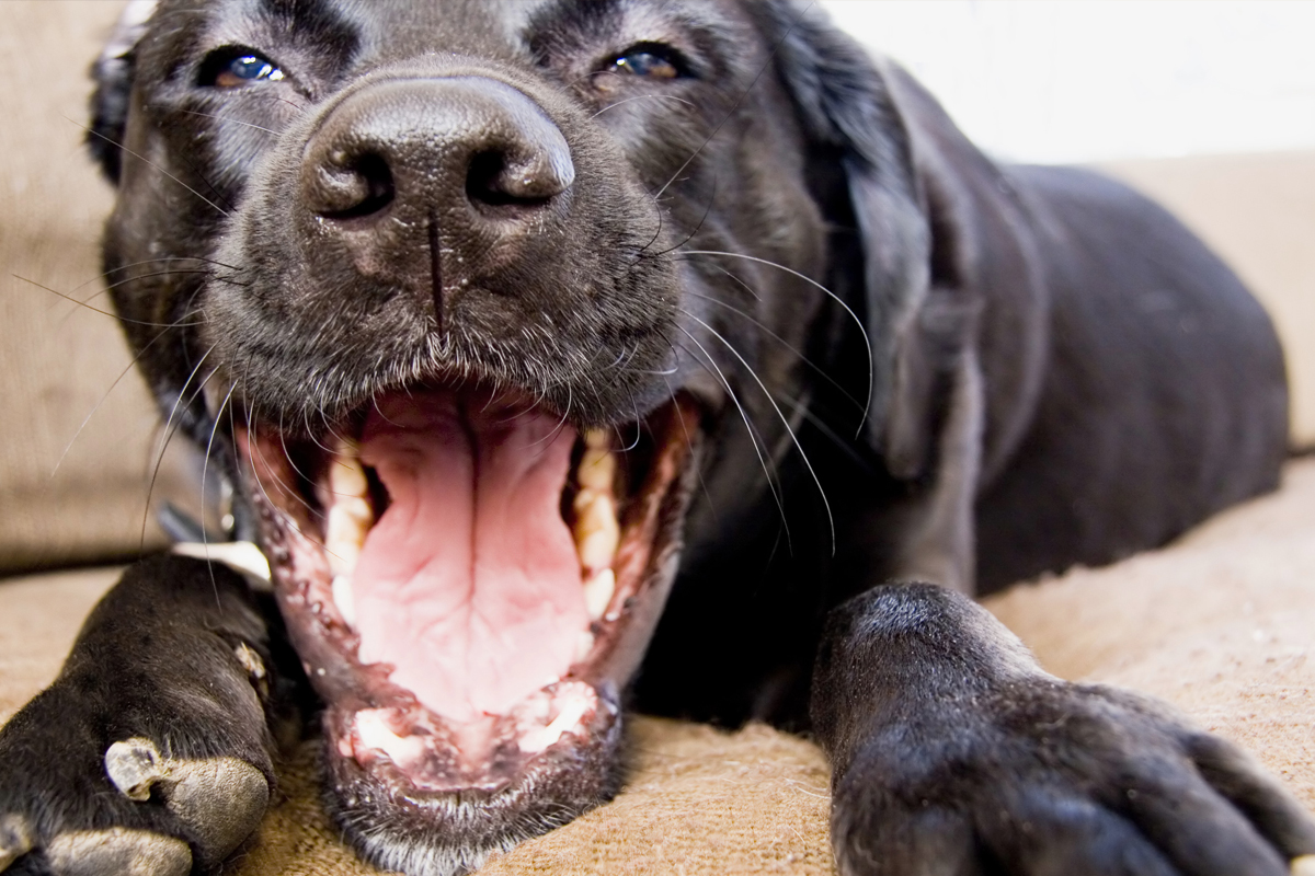 Avoiding Overtraining