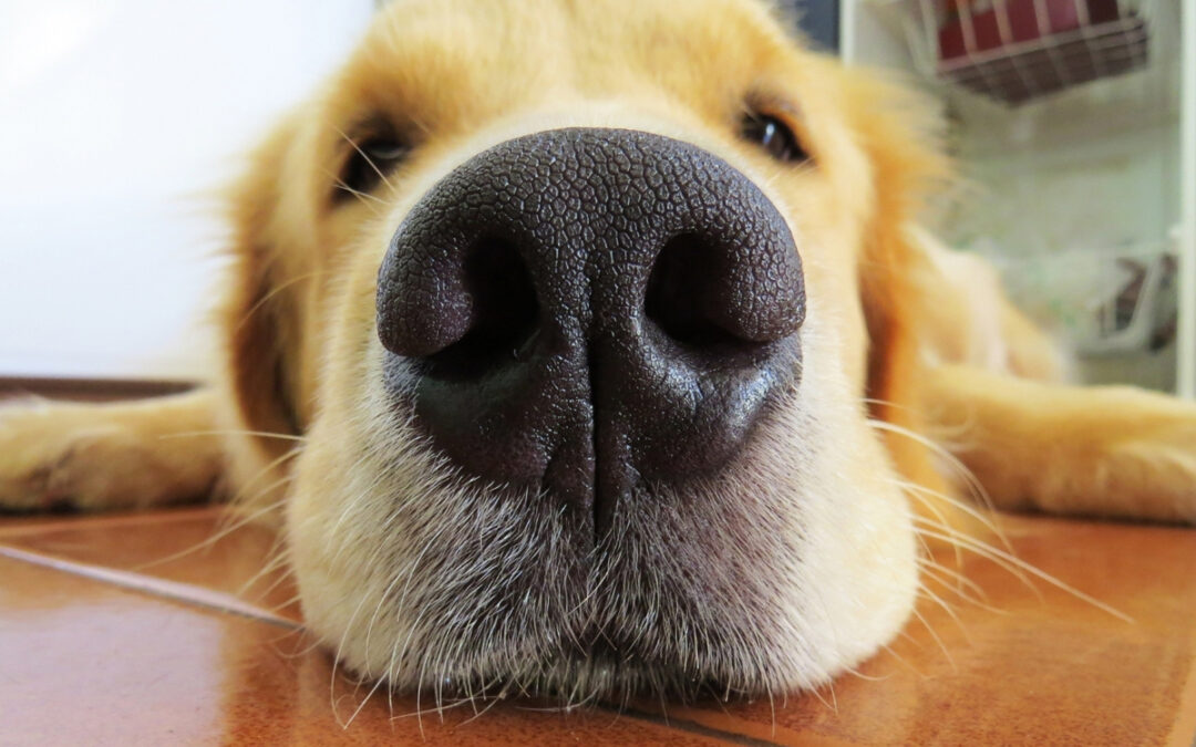 Better Results With Board-and-Train