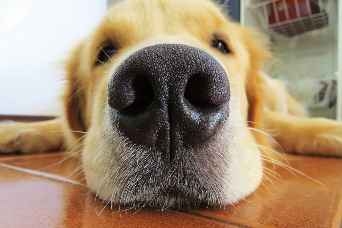 Better Results With Board-and-Train