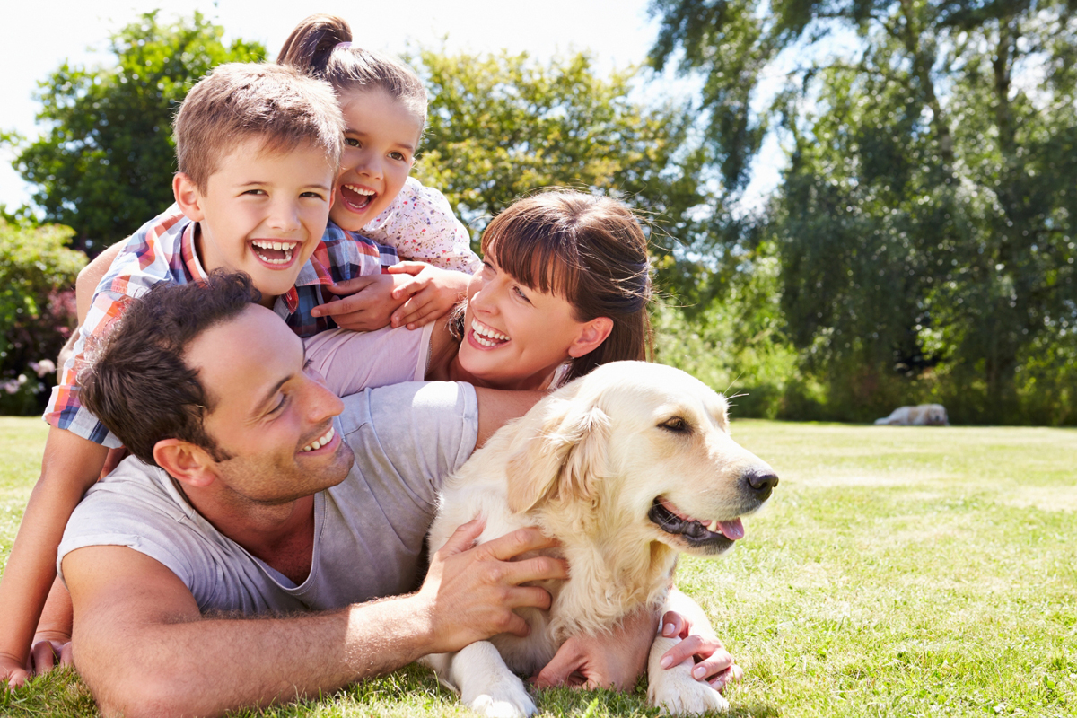 Board-and-Train Right for Your Dog