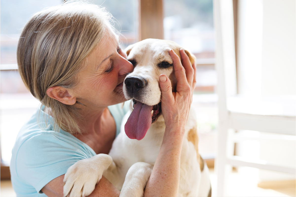 What Happens After Board-and-Train Ends