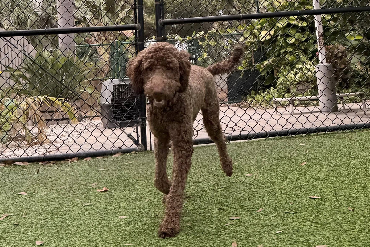 Advantage of Consistent Daily Reinforcement