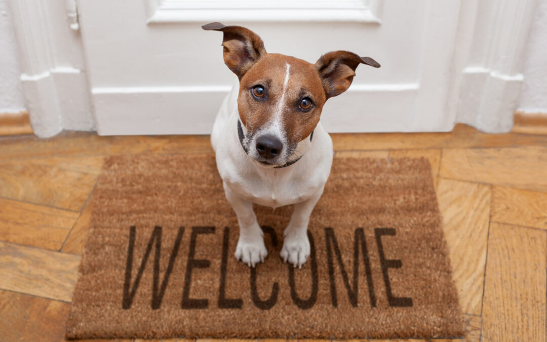 Follow-Through Where Training Happens