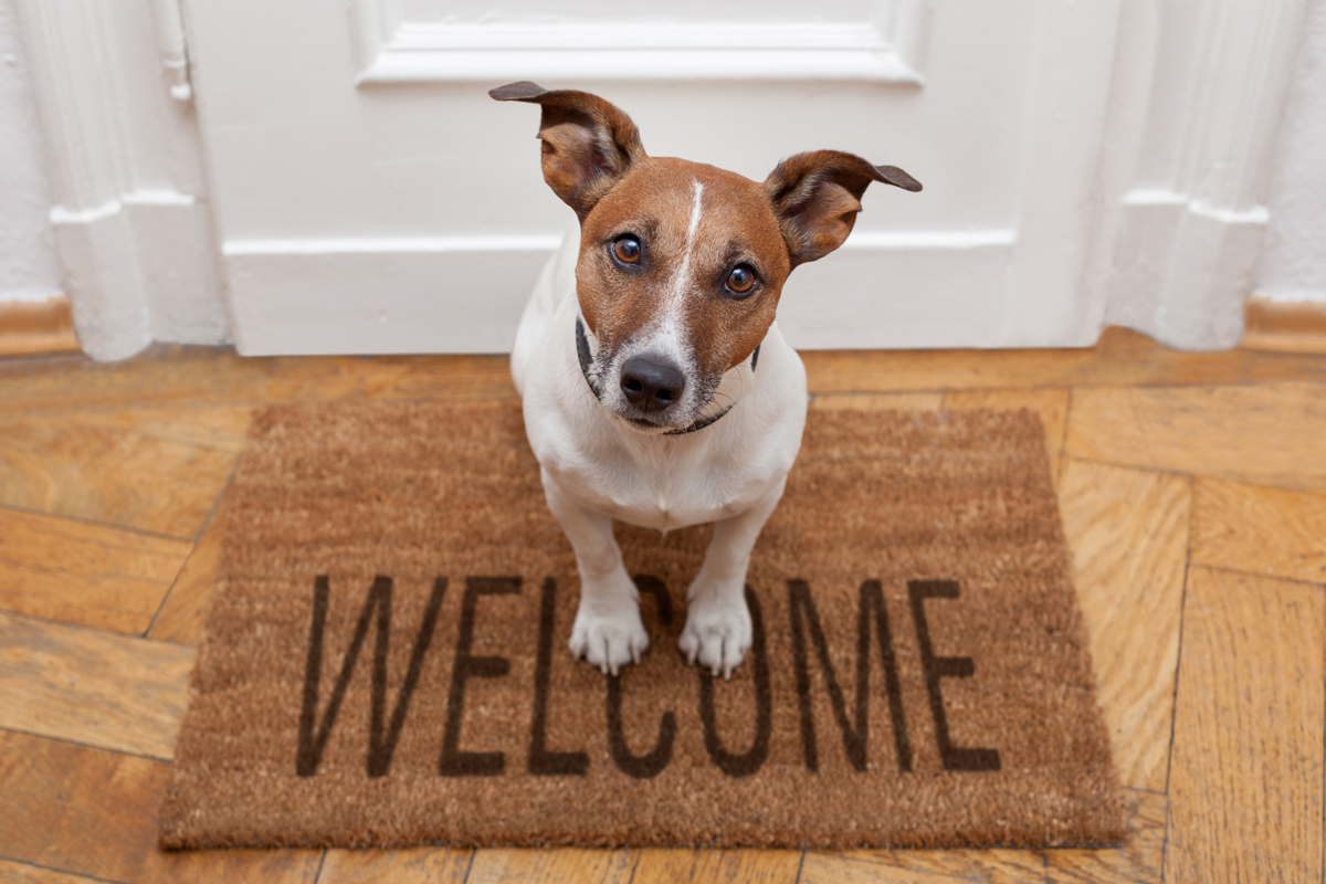 Follow-Through Where Training Happens