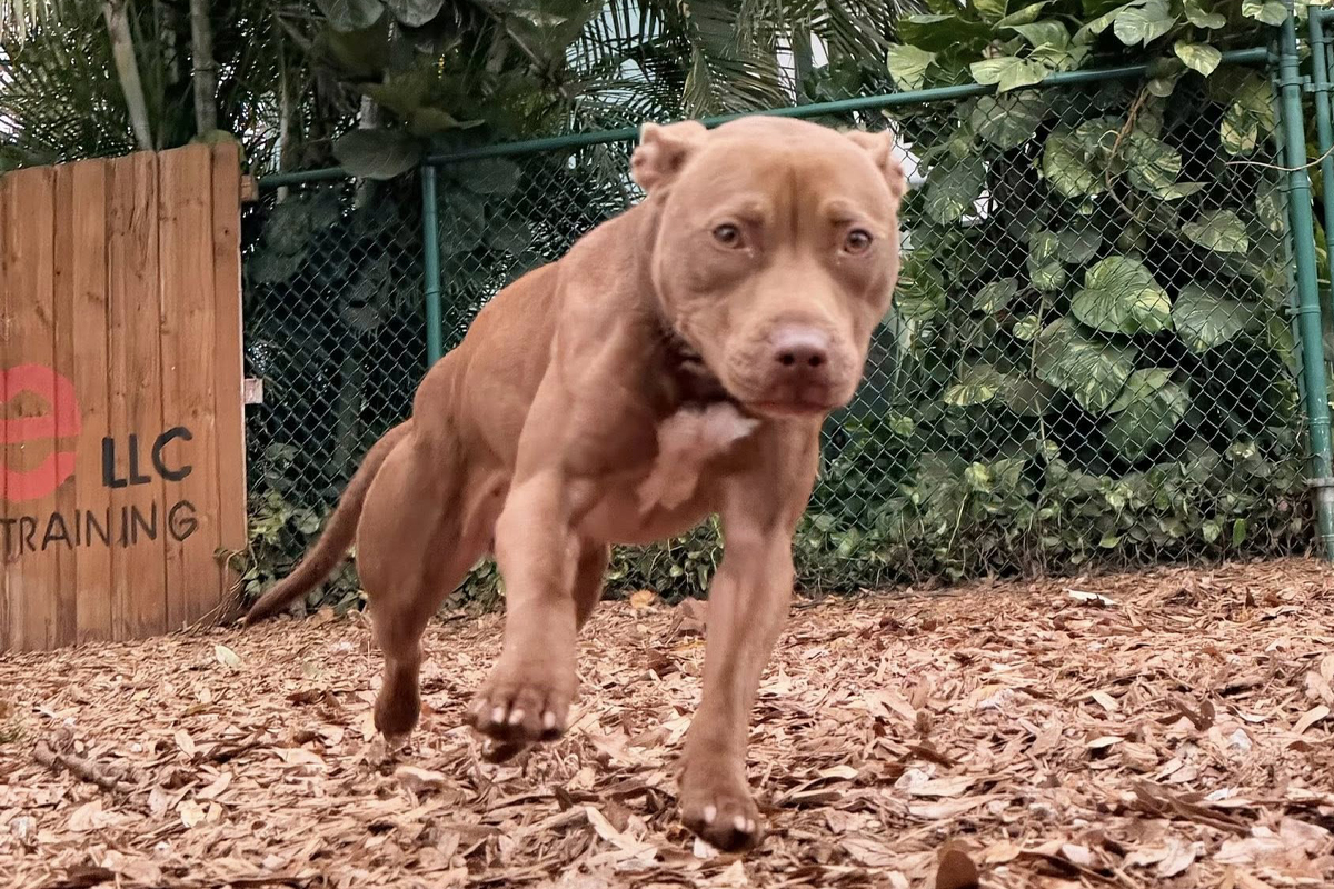 Reactive Behavior Rarely Improves on Its Own