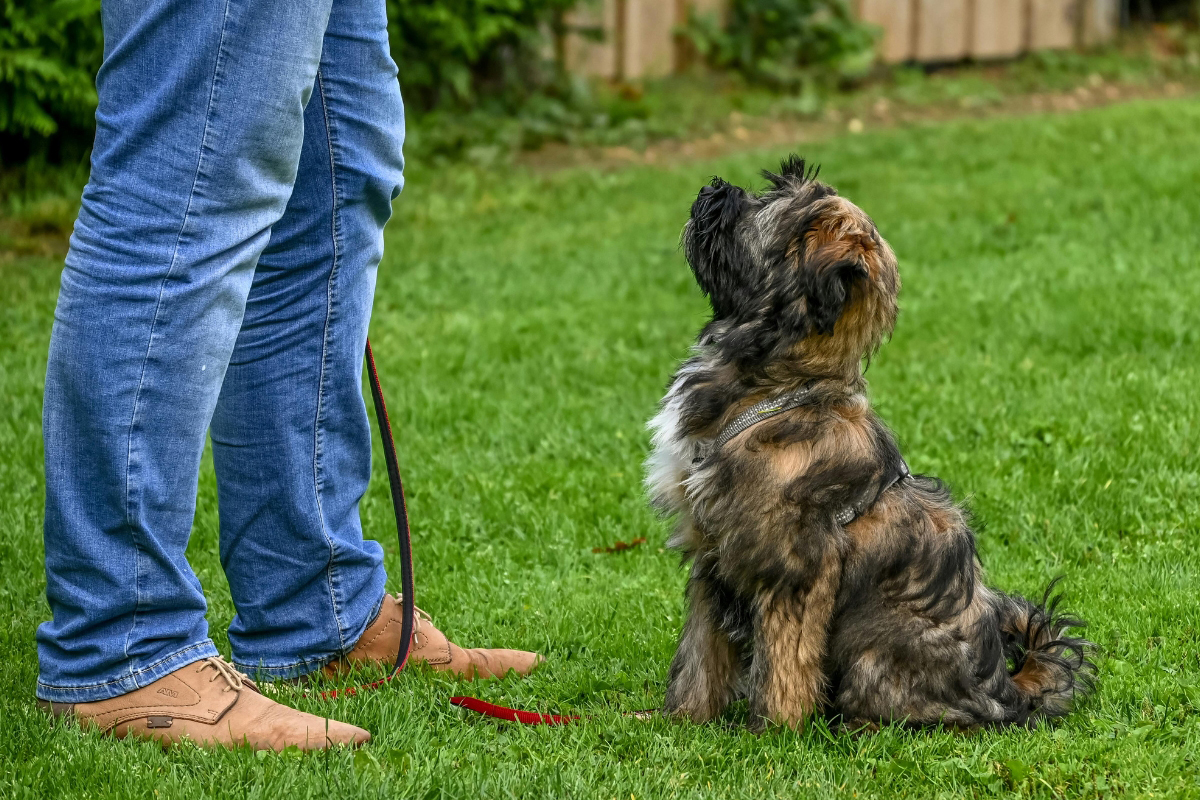 Teaching a Command and Proofing It