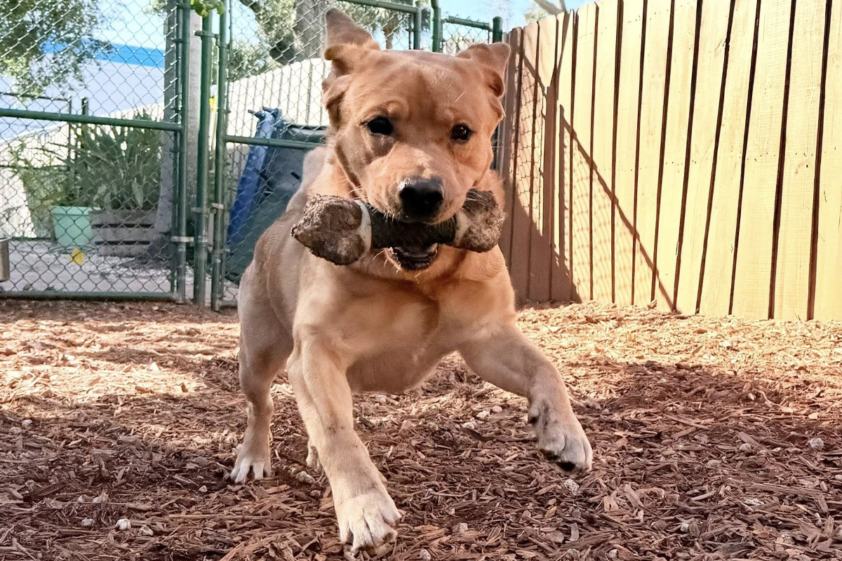 Training Becomes a Full-Time Focus