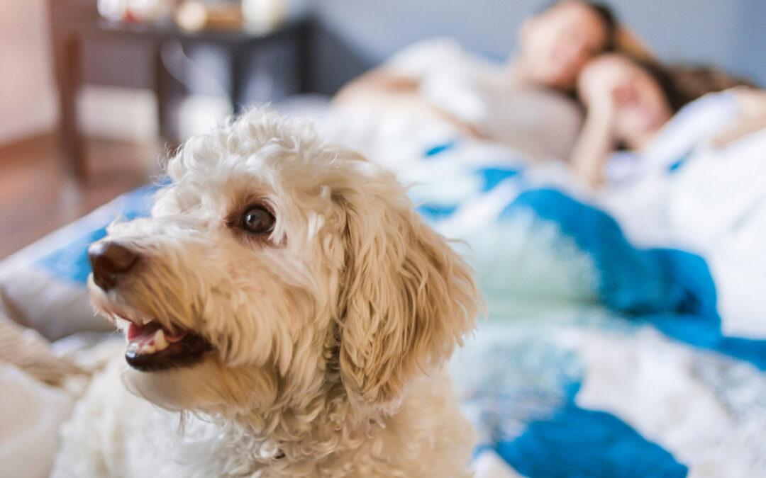 Waiting to Fix Behavioral Problems