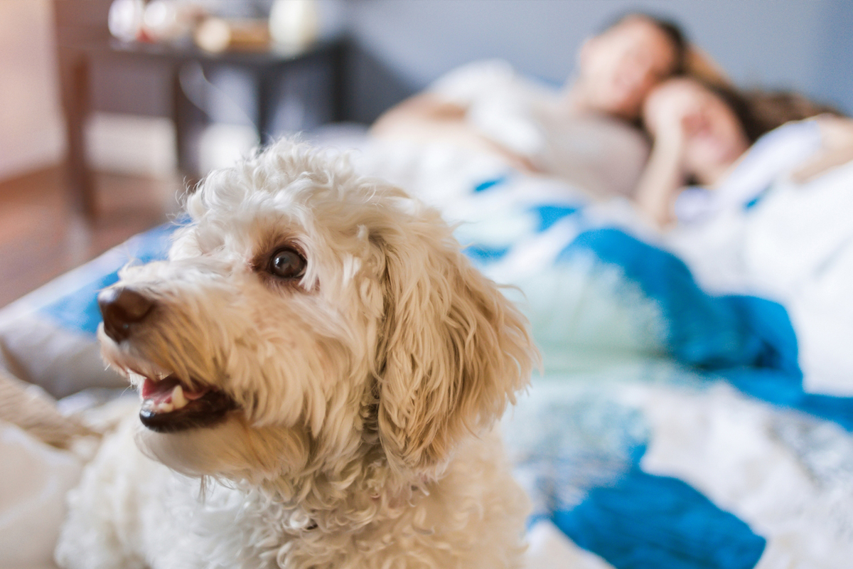 Waiting to Fix Behavioral Problems