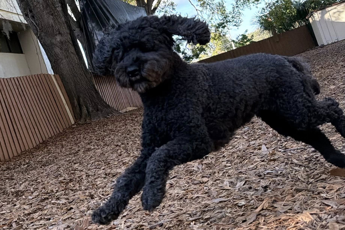 Unwanted Behaviors Without Harsh Corrections