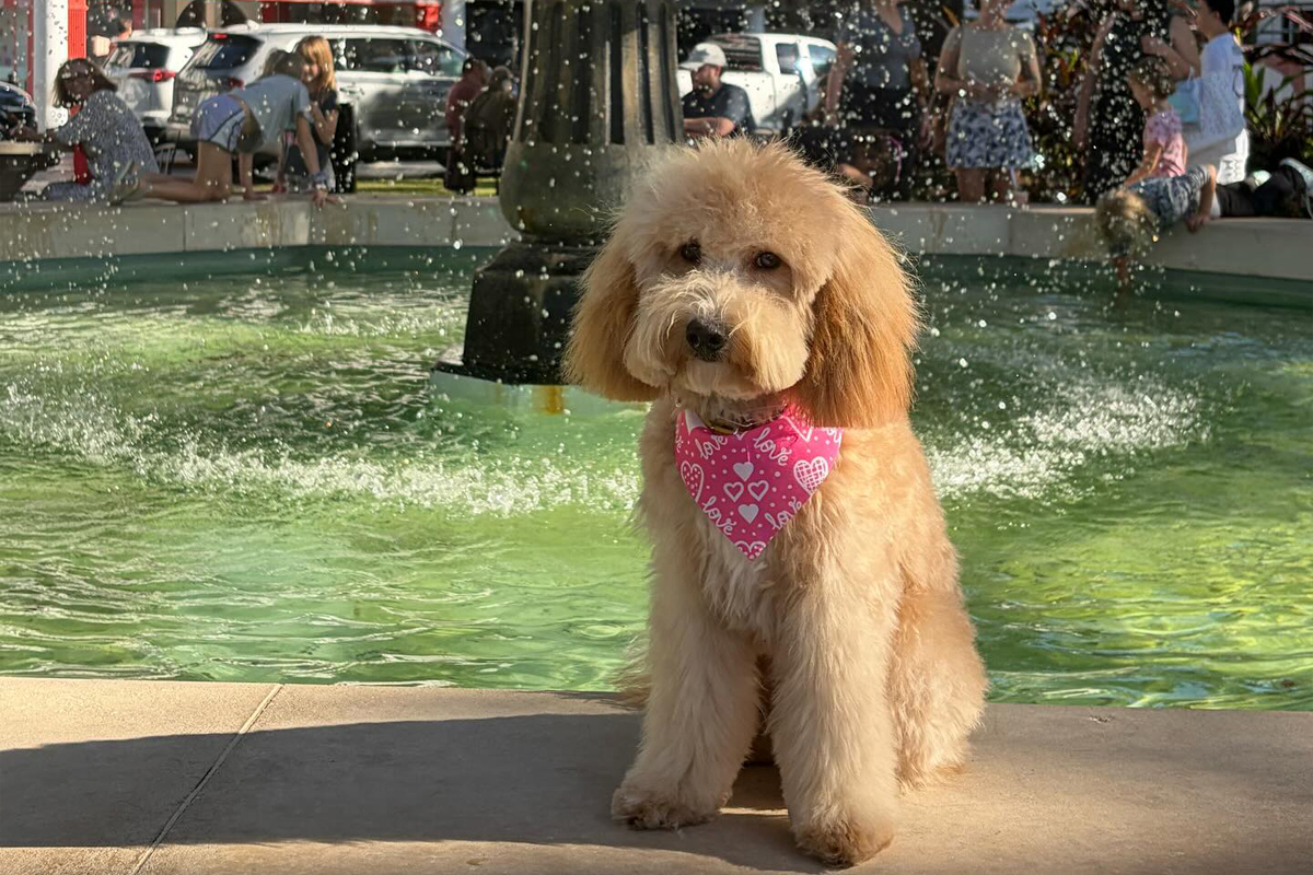 Teaching Calmness in a High-Energy World