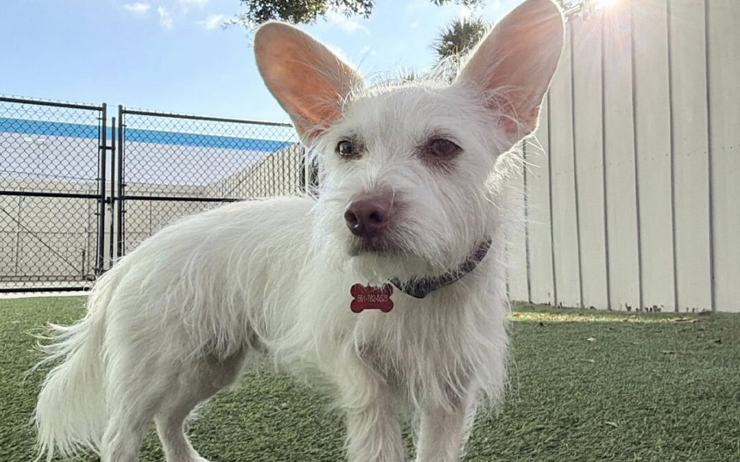 When Weekly Lessons Aren’t Moving the Needle