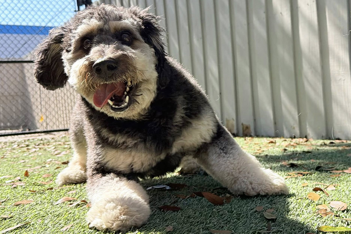 Training Feels Overwhelming