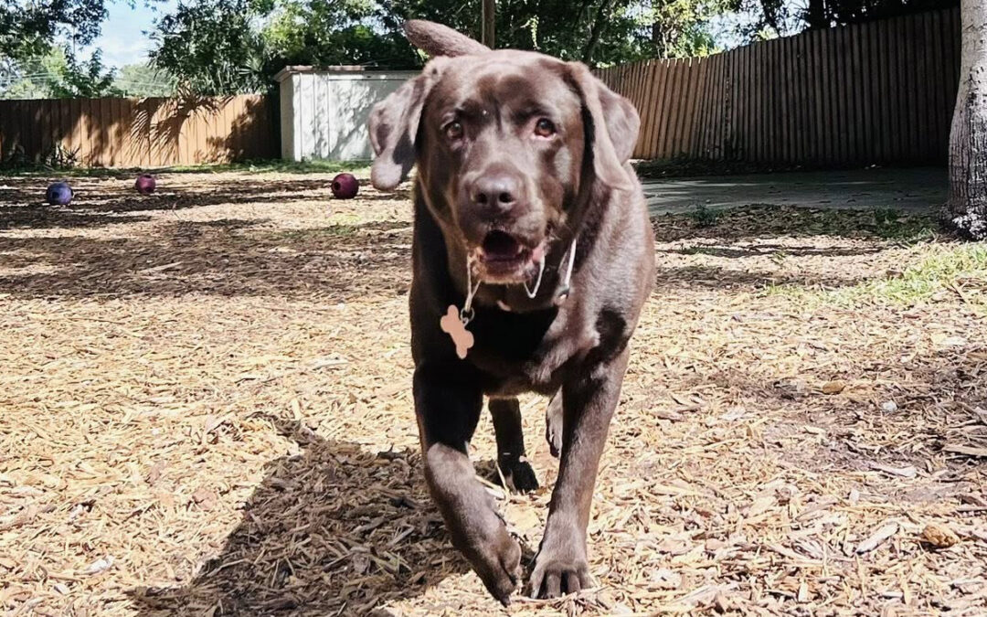 When Training at Home