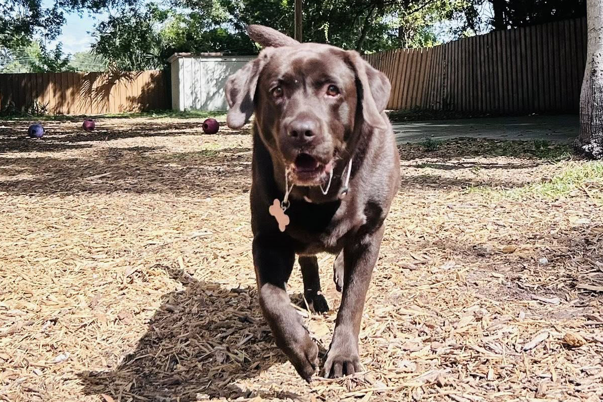 When Training at Home