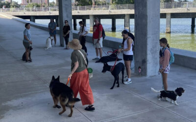 Preparing Your Dog for Family Vacations With Board-and-Train