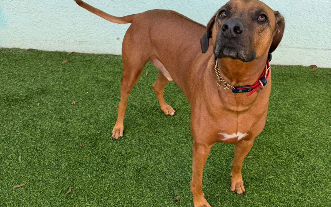 How to Build Better Calmness Before Hurricane Season Peaks