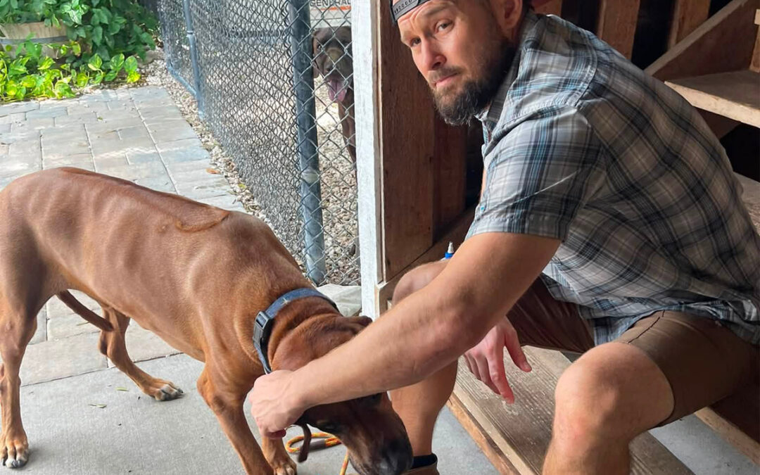 How to Find the Right Dog Trainer in Pinellas County